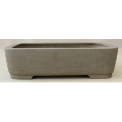 Bonsai pot JTA6330 SEIZAN MAKOTO