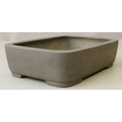 Bonsai pot JTA6330 SEIZAN MAKOTO View 2