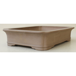 Bonsai pot JTA6351 KEIZAN View 2