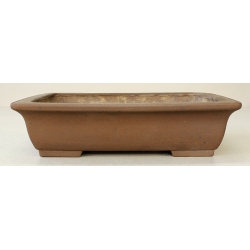 Bonsai pot JTA6355 REIHOU REIJI