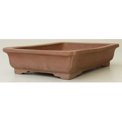 Bonsai pot JTA6358 SEIBUN View 2