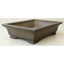 Bonsai pot JTA6360 KEIZAN View 2