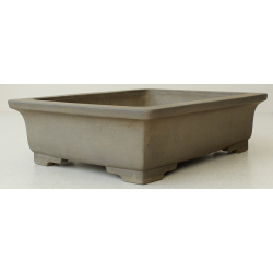 Bonsai pot JTA6375 SEIZAN MAKOTO View 2