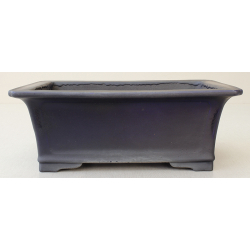 Bonsai pot JTA6384 KOYO KOUICHIROU