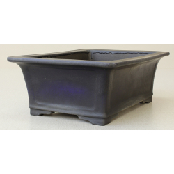 Bonsai pot JTA6384 KOYO KOUICHIROU View 2