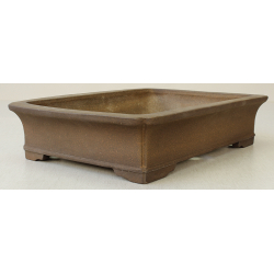 Bonsai pot JTA6413 TERAHATA MAZAN View 2