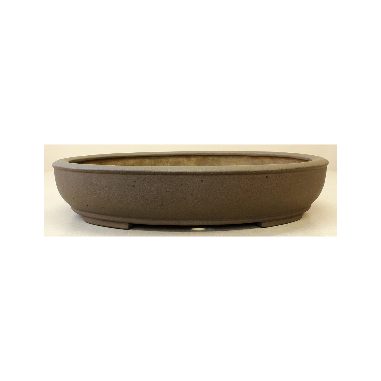 Bonsai pot JTA6464 YAMAAKI TOSHIO