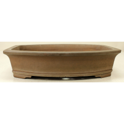 Bonsai pot JTA6486 GYOZAN YUKIZOU