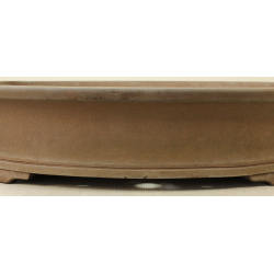 Bonsai pot JTA6486 GYOZAN YUKIZOU View 3