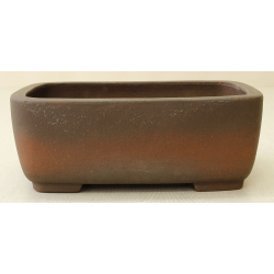 Bonsai pot JTA6505 IZUMI-YA ZENIGO