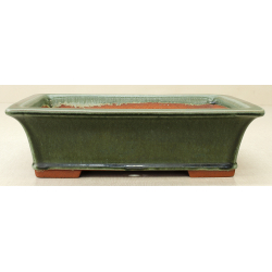 Bonsai pot JTA6521 YOUZAN MASAKAZU