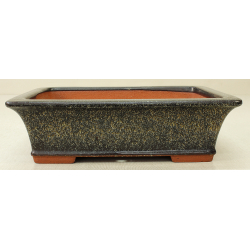 Bonsai pot JTA6522 YOUZAN MASAKAZU