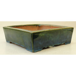 Bonsai pot JTA6550 GYOZAN YUKIZOU