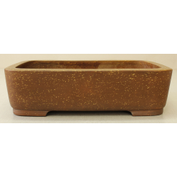 Bonsai pot JTA6558 SEIZAN MAKOTO