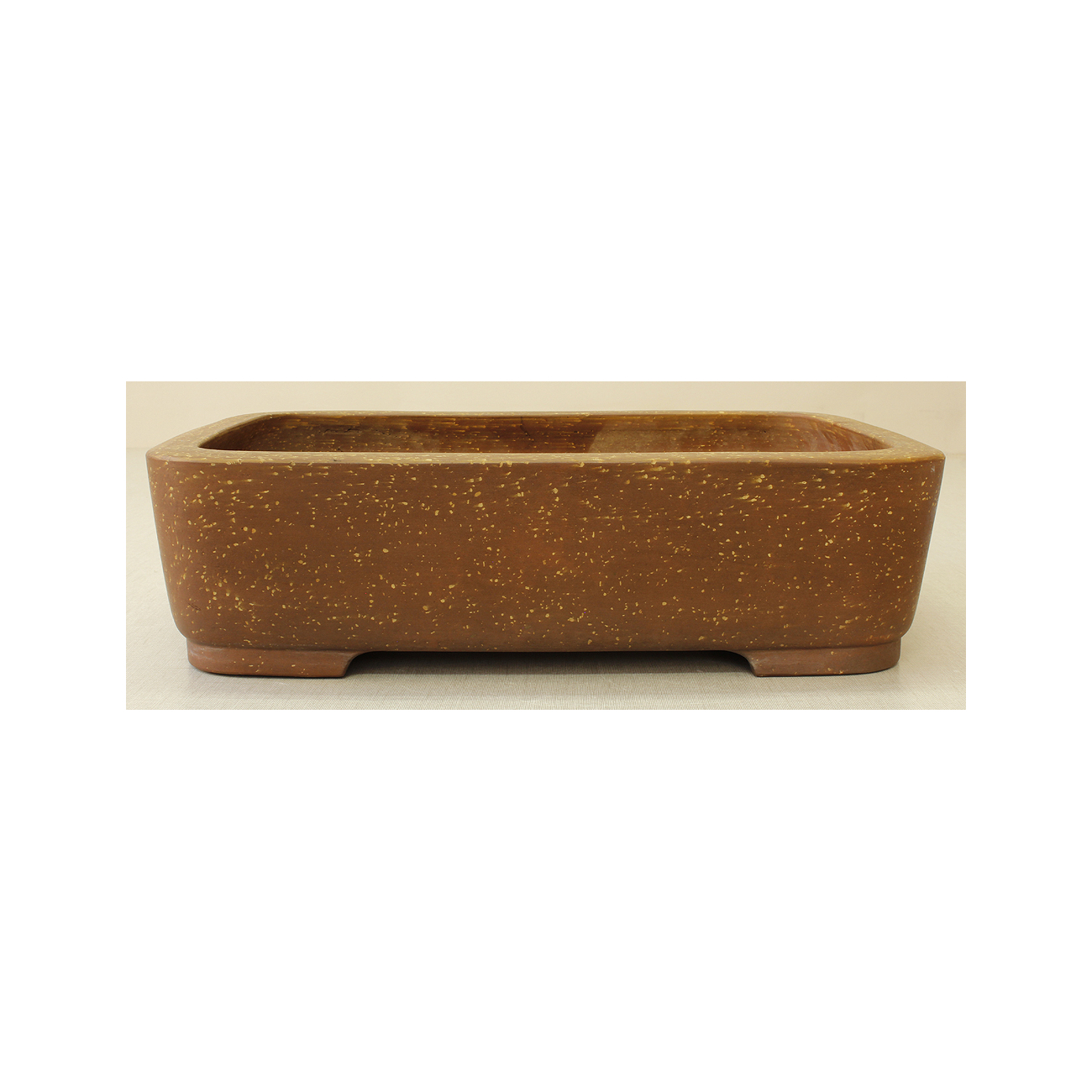 Bonsai pot JTA6558 SEIZAN MAKOTO