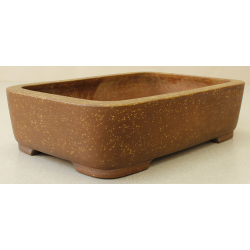 Bonsai pot JTA6558 SEIZAN MAKOTO View 2