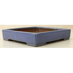 Bonsai pot JTA6562 YOSHIMURA SHUUHOU