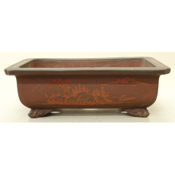 Bonsai pot JTA6566 IZUMI-YA ZENIGO