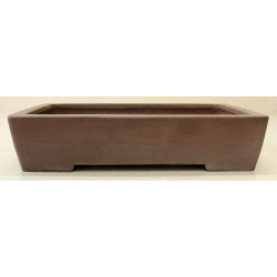 Bonsai pot JTA6575 YAMAAKI TOSHIO