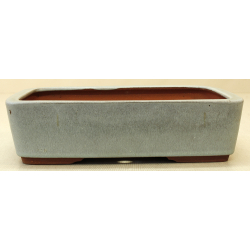 Bonsai pot JTA6581B YOUZAN MASAKAZU