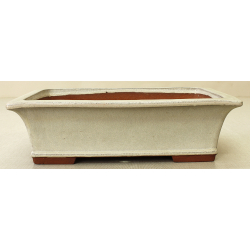 Bonsai pot JTA6583 YOUZAN MASAKAZU