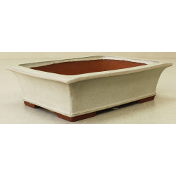 Bonsai pot JTA6583 YOUZAN MASAKAZU View 2