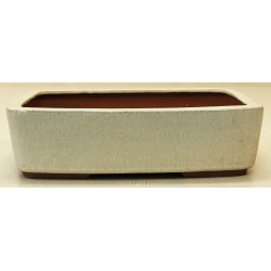 Bonsai pot JTA6593 YOUZAN MASAKAZU