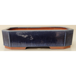 Bonsai pot JTA6595 YOUZAN MASAKAZU