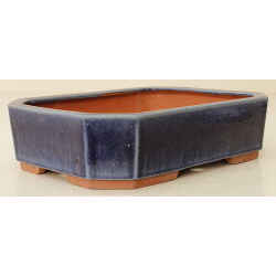 Bonsai pot JTA6595 YOUZAN MASAKAZU View 2