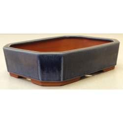 Bonsai pot JTA6613 YOUZAN MASAKAZU View 2