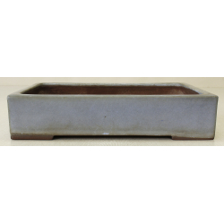 Bonsai pot JTA6854 YAMAAKI TOSHIO