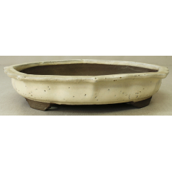 Bonsai pot JTA6898 YOSHIMURA SHUUHOU