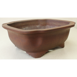 Bonsai pot JTA7004 IZUMI-YA ZENIGO View 2