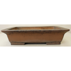 Bonsai pot JTA7014B SHOUZAN KANESHOU MASAMI