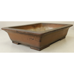 Bonsai pot JTA7014B SHOUZAN KANESHOU MASAMI View 2