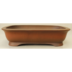 Bonsai pot JTA7197 IZUMI-YA SHOUKOU