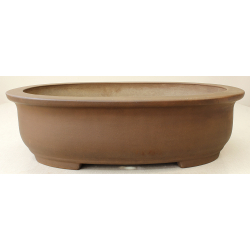 Bonsai pot JTA7255 MORISHITA