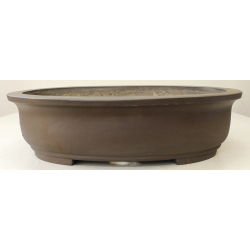 Bonsai pot JTA7256 MORISHITA