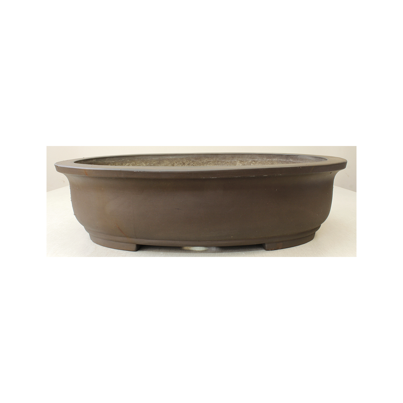 Bonsai pot JTA7256 MORISHITA