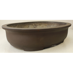 Bonsai pot JTA7256 MORISHITA View 2