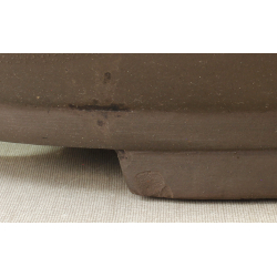 Bonsai pot JTA7256 MORISHITA View 4