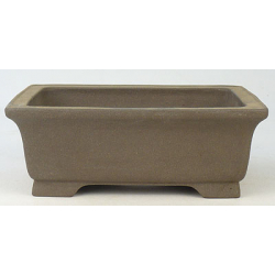 Bonsai pot JTA826 SHIBAKATSU