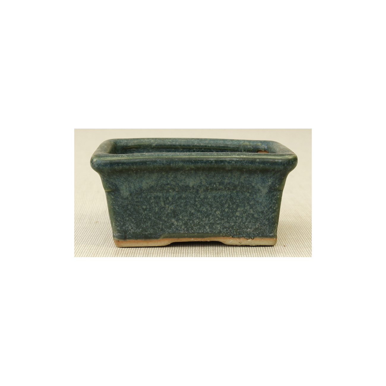 Bonsai pot JTAP311 TOSUI MASAO