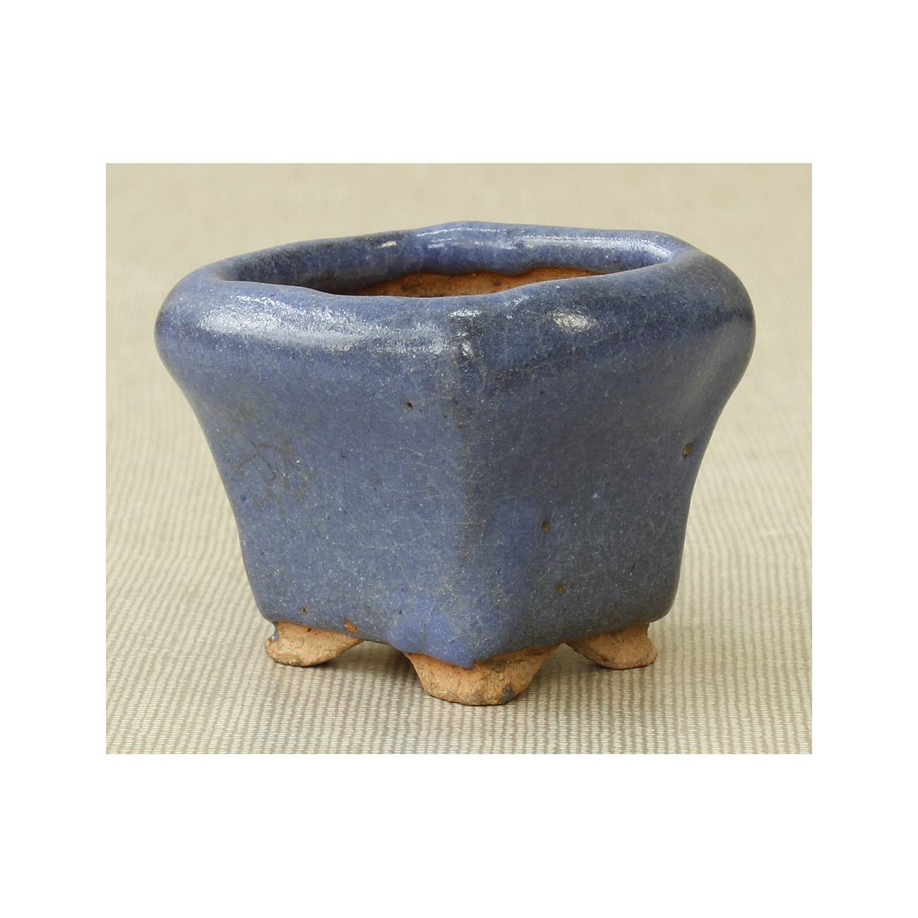 Bonsai pot JTAP324 MASASHUI FUROMOTO