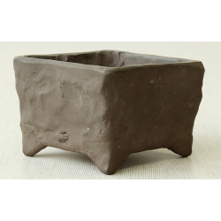 Bonsai pot JTAP558