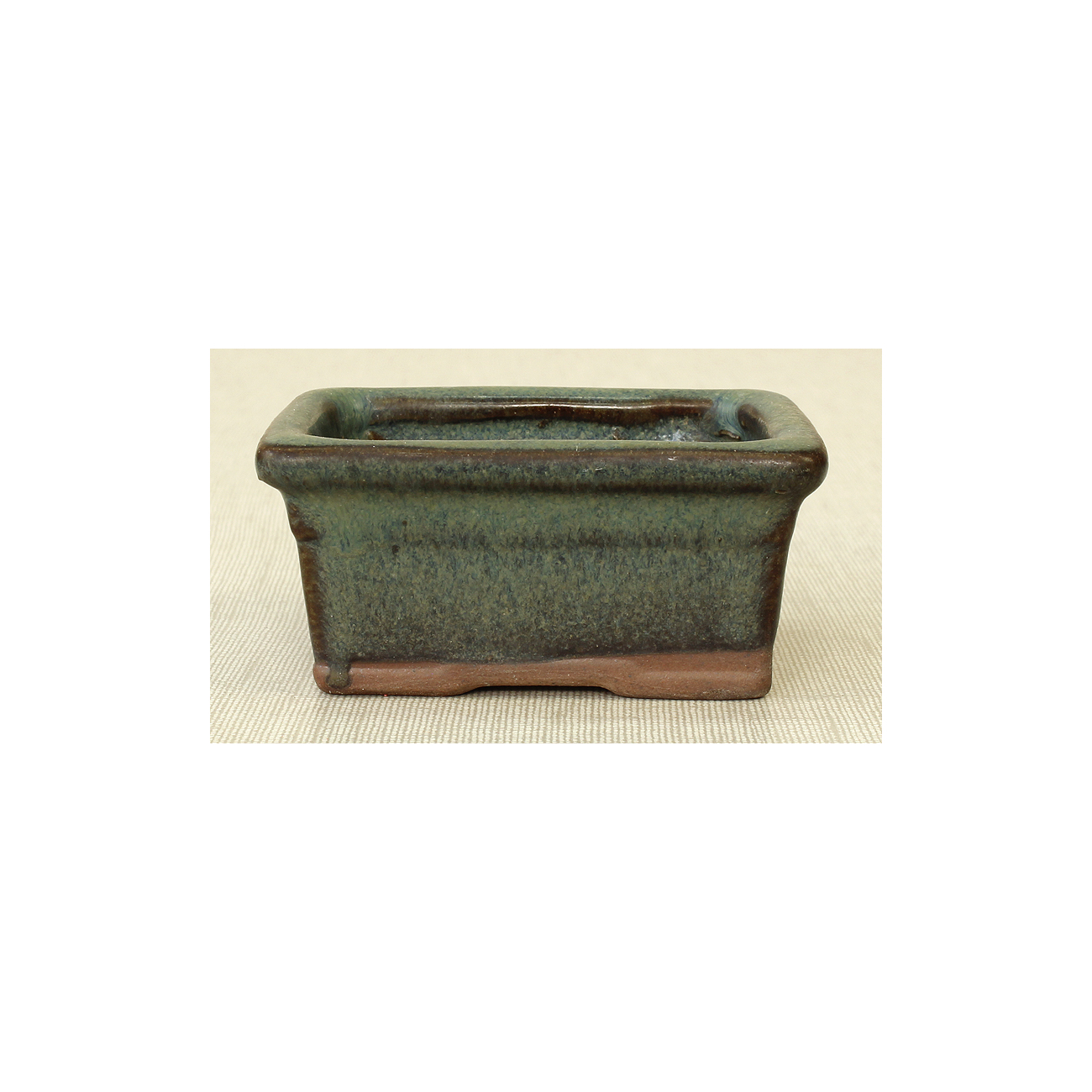 Bonsai pot JTAP669 TOSUI MASAO