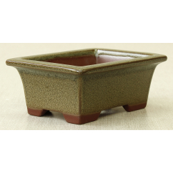 Bonsai pot JTAP671 BUNZAN View 2