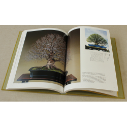 Libro Saburo Kato Beauty of bonsai Vista 3