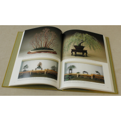 Libro Saburo Kato Beauty of bonsai Vista 4