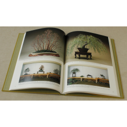 Saburo Kato Beauty of bonsai book View 4